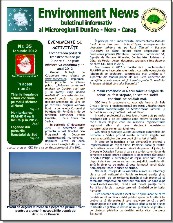 Buletin informativ