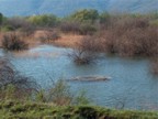 Nera Delta nature reserve